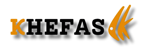 Mi tienda